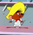 images/avatars/avatar-91.jpg